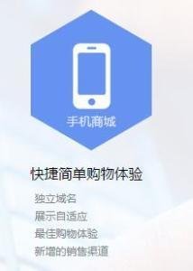 手機(jī)商城軟件的技術(shù)開(kāi)發(fā)與銷售