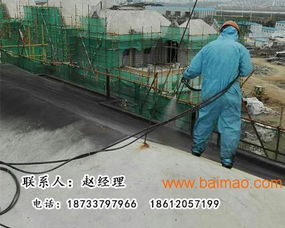 北京噴涂速凝防水涂料 技術(shù)轉(zhuǎn)讓、廠家直銷(xiāo)與網(wǎng)絡(luò)服務(wù)的一站式解決方案